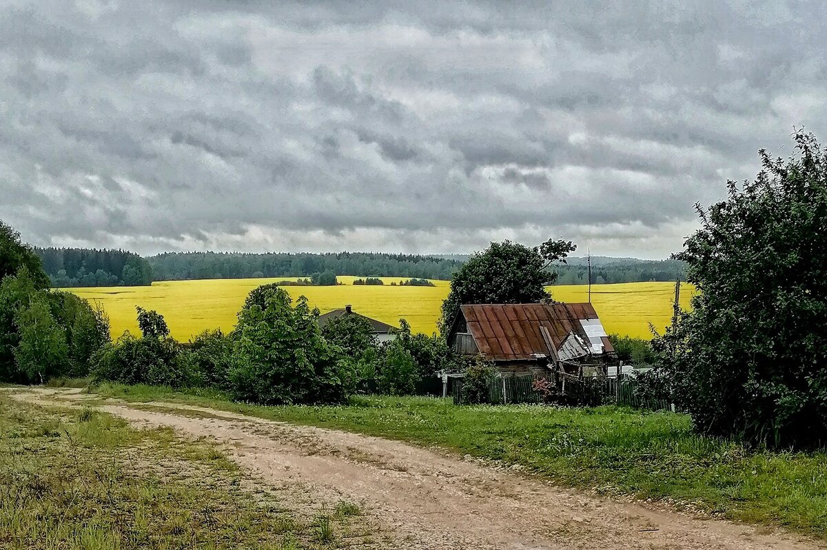 Деревенский пейзаж. - adrow Деревенский пейзаж. - adrow