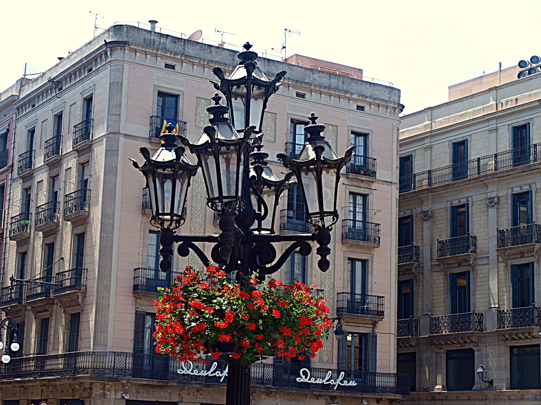 Барселона. - Владимир Драгунский Барселона. - Владимир Драгунский