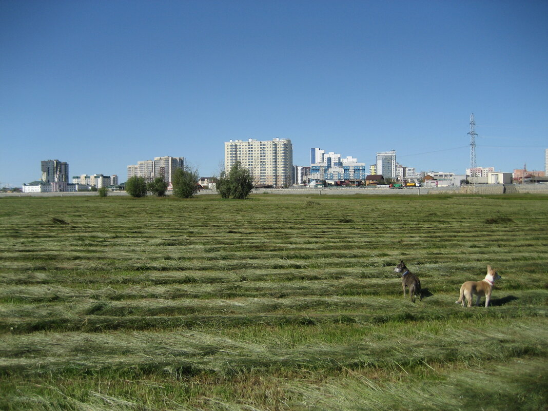 Покос - Anna Ivanova Покос - Anna Ivanova