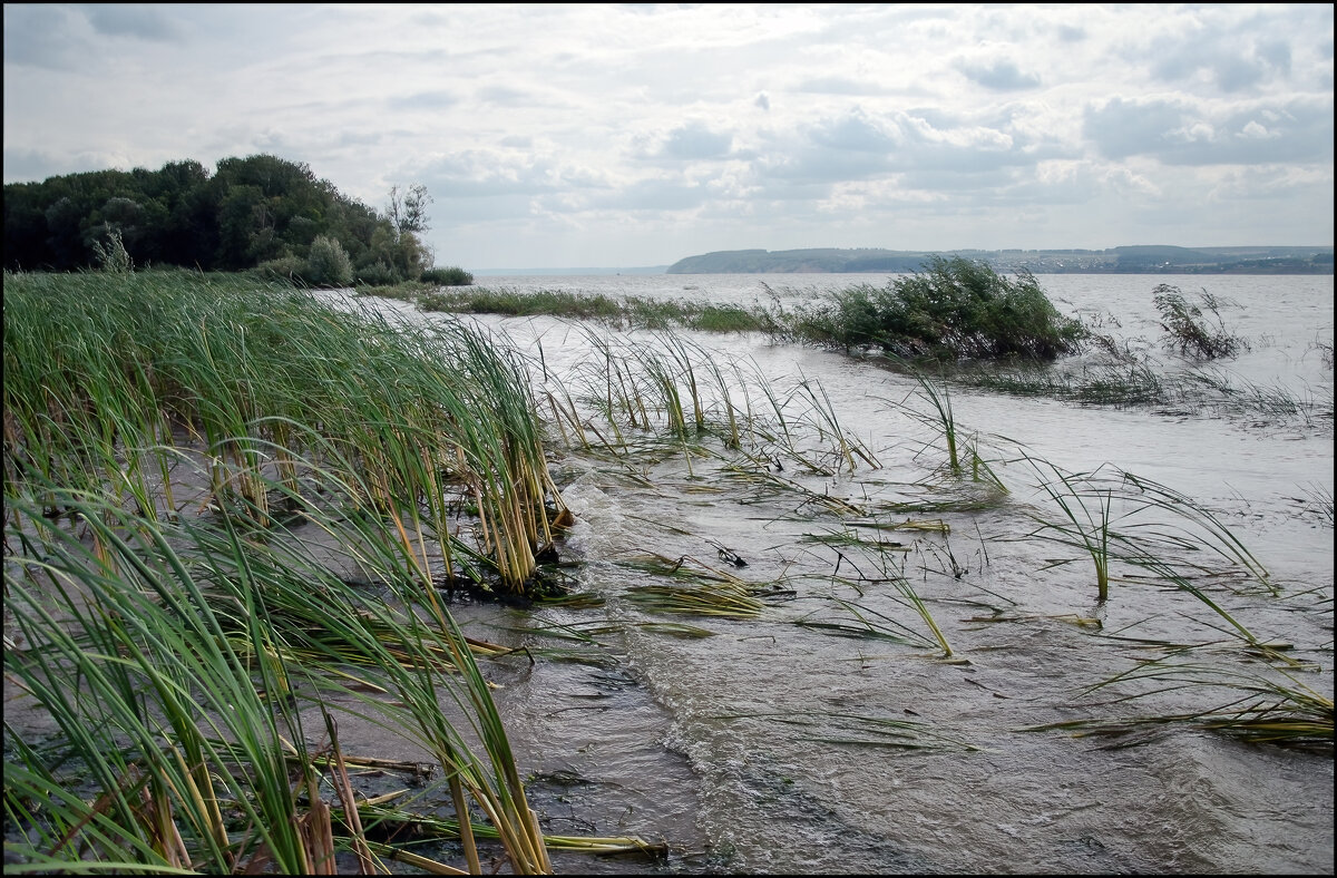Волга у Кордона - **** vedin Волга у Кордона - **** vedin