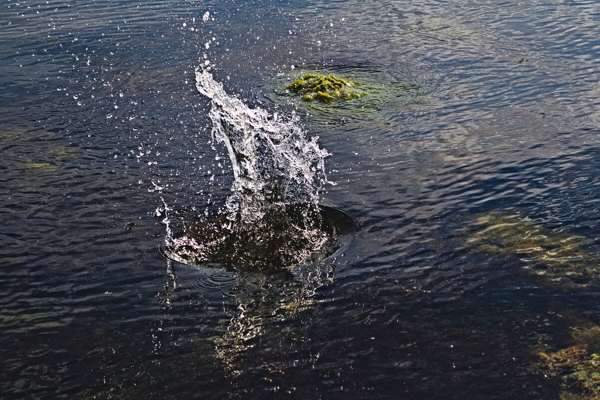 Бултых - Giant Tao / Бултых - Giant Tao /