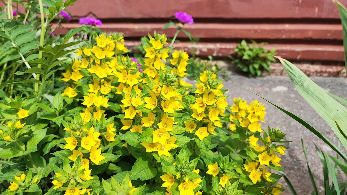 ,,, - Сергей Тимоновский