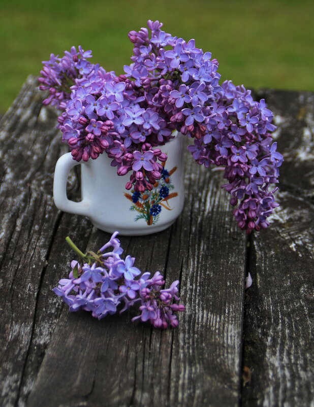 Сиреневый мотивчик :) - Татьян@ Ивановна