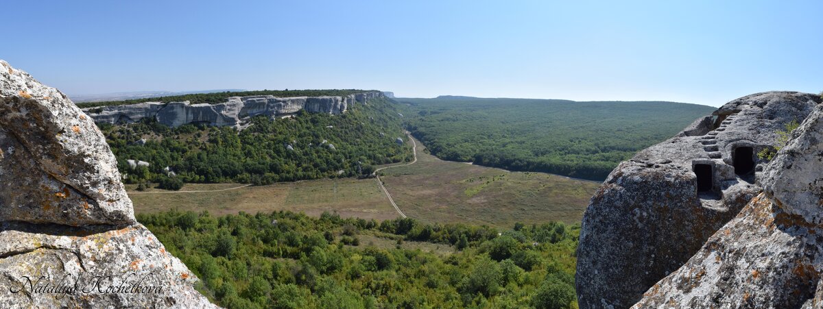 Природа Крыма - Amazing Cosmea Природа Крыма - Amazing Cosmea