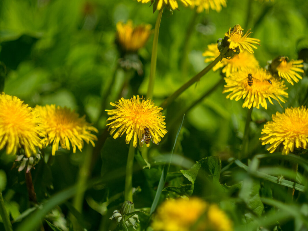 ___ - Yuriy V ___ - Yuriy V