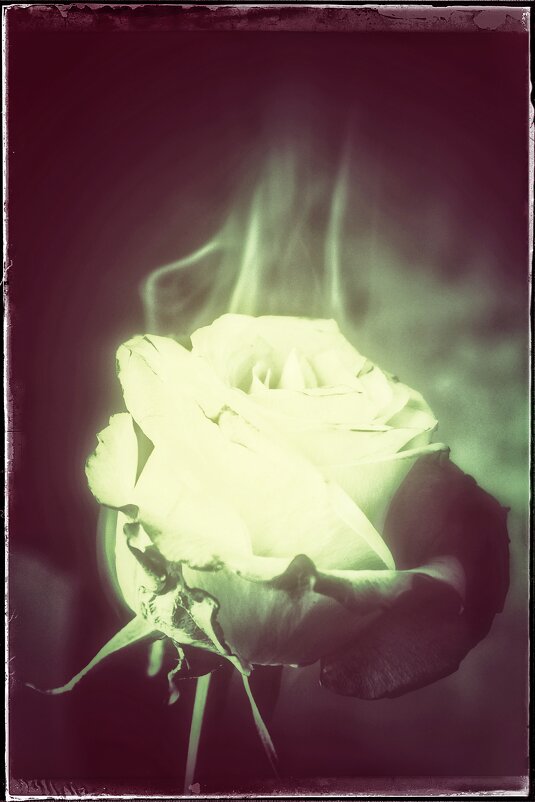 " ... " - Руслан 