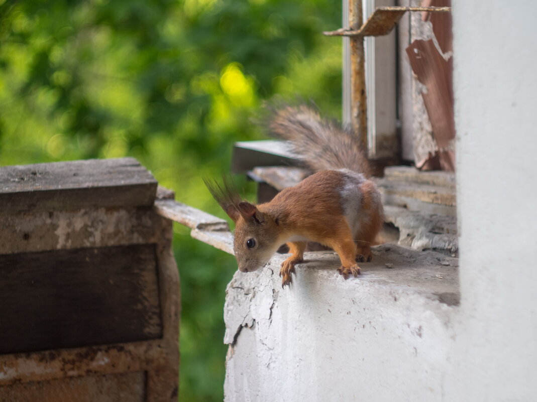 ___ - Yuriy V ___ - Yuriy V