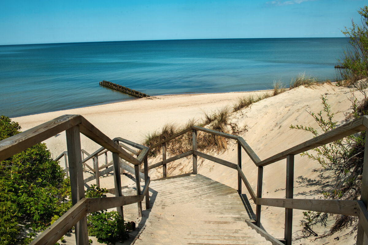 Балтика - Виталий 