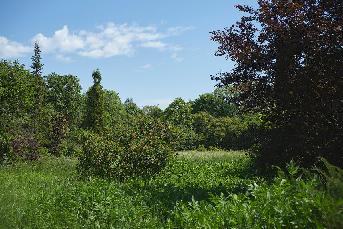 Ботанический сад 02 - Олег Манаенков