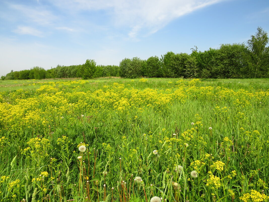 В последние дни весны - Андрей Снегерёв В последние дни весны - Андрей Снегерёв