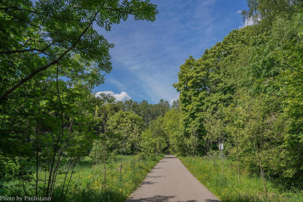 В конце мая... - Владимир Жданов В конце мая... - Владимир Жданов