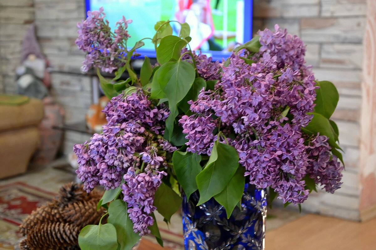 Букет сирени. - Михаил Столяров