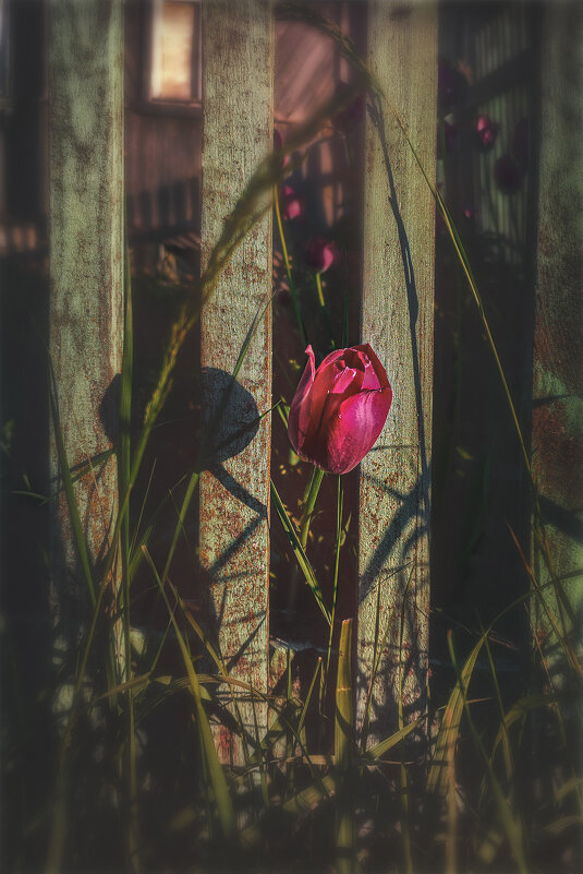 Побег - AZ east3