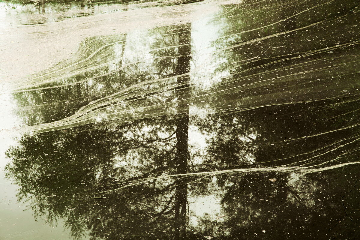 Назва. отсу. - Денис Безногов