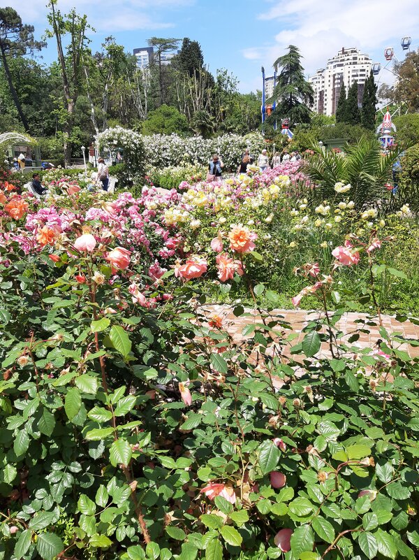 День города. Ривьера - Tata Wolf День города. Ривьера - Tata Wolf