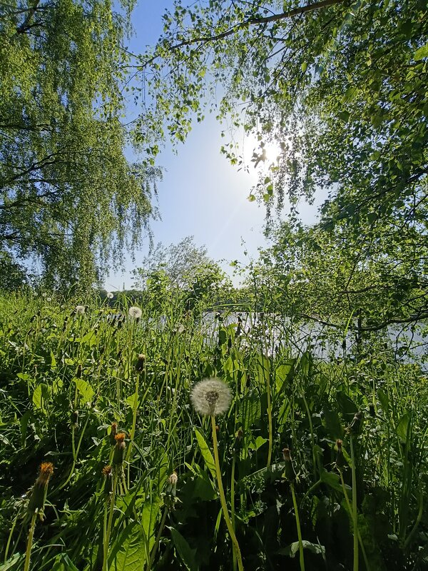 лето - Галина R... лето - Галина R...