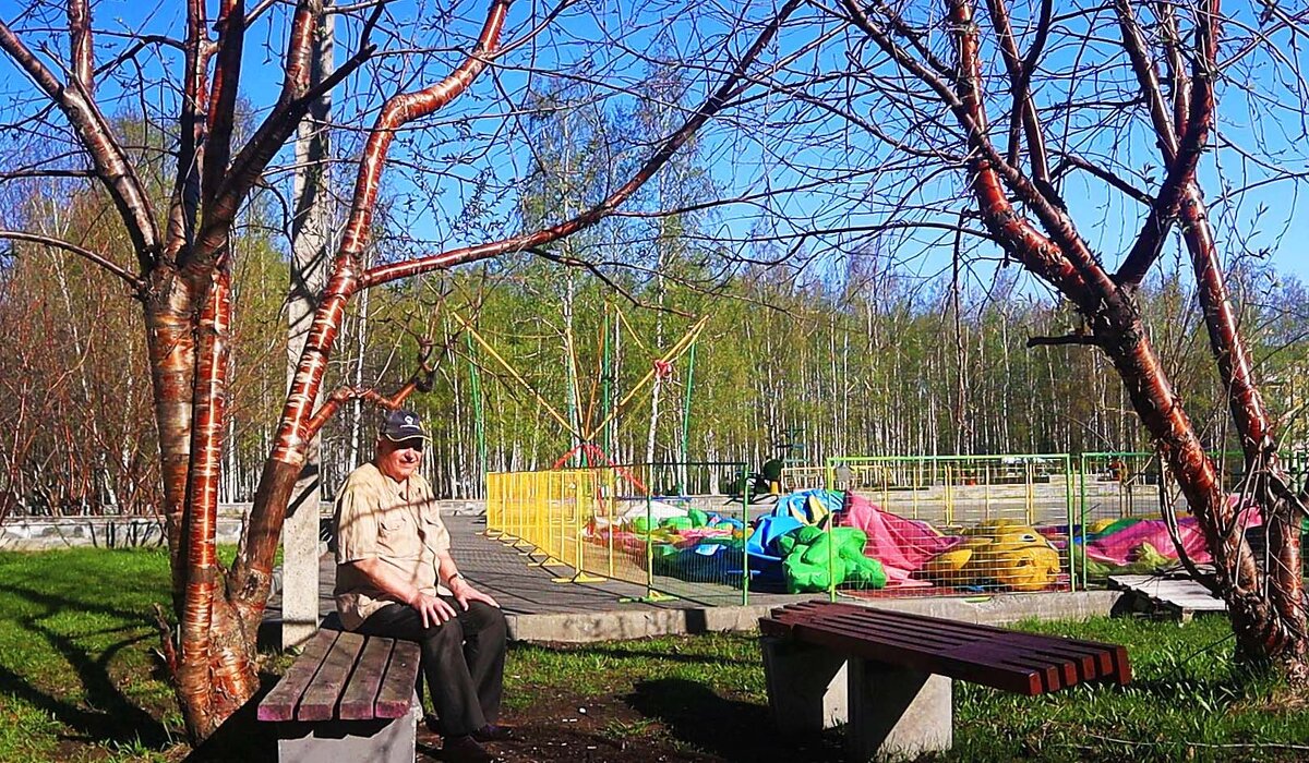 В последний день весны... - Владимир 