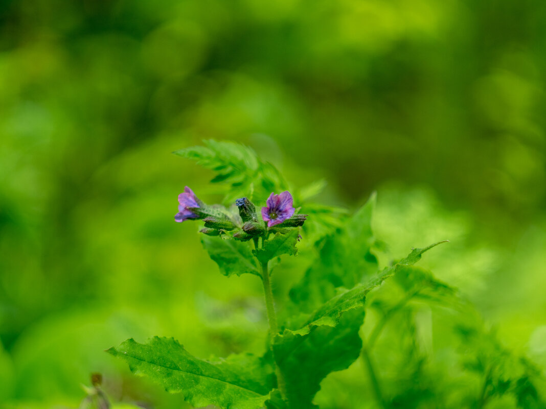 ___ - Yuriy V ___ - Yuriy V