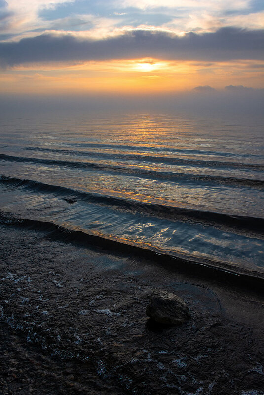 Туманный вечер - Дмитрий Печенкин