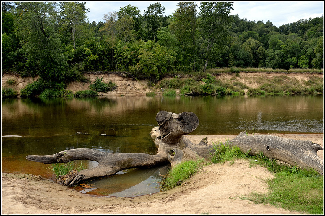 ...чудище... - Aleksandr Gal