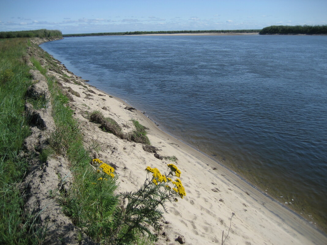 Лето - Anna Ivanova