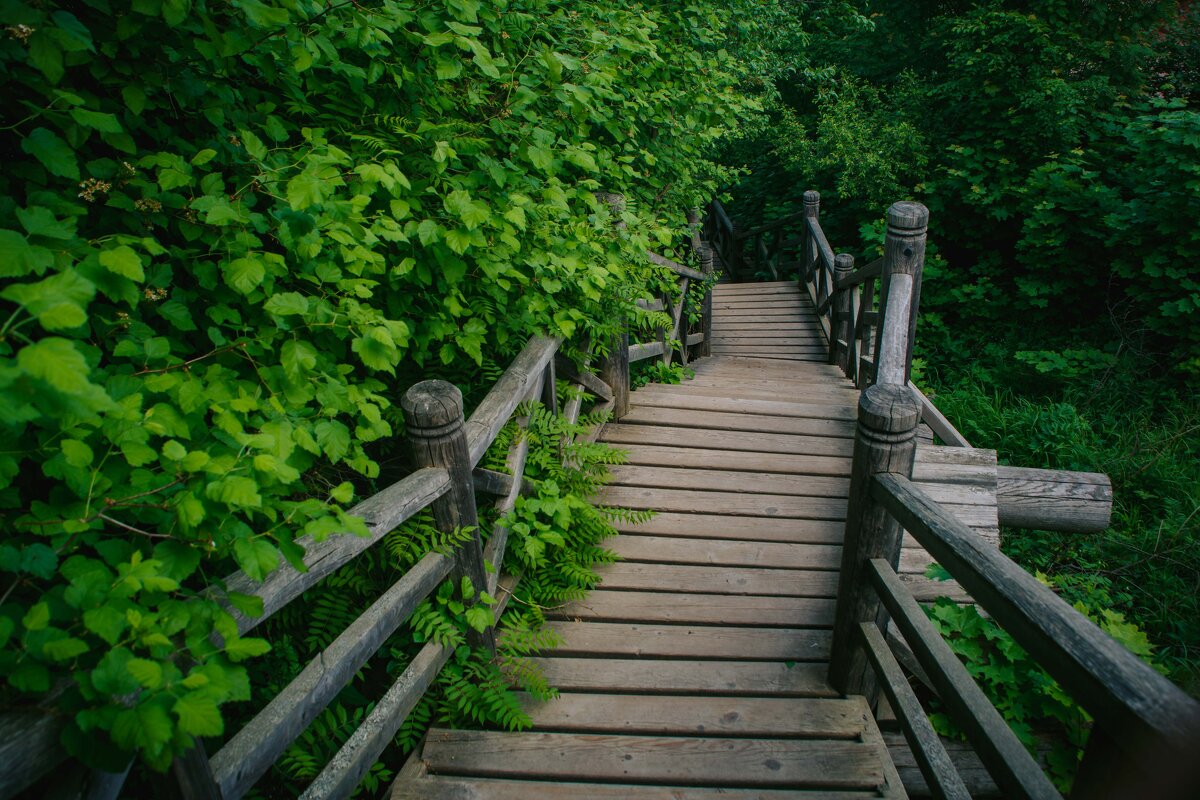 Плёс. Маленький городок на Волге. Май 2025 - Вячеслав Владимирович Плёс. Маленький городок на Волге. Май 2025 - Вячеслав Владимирович