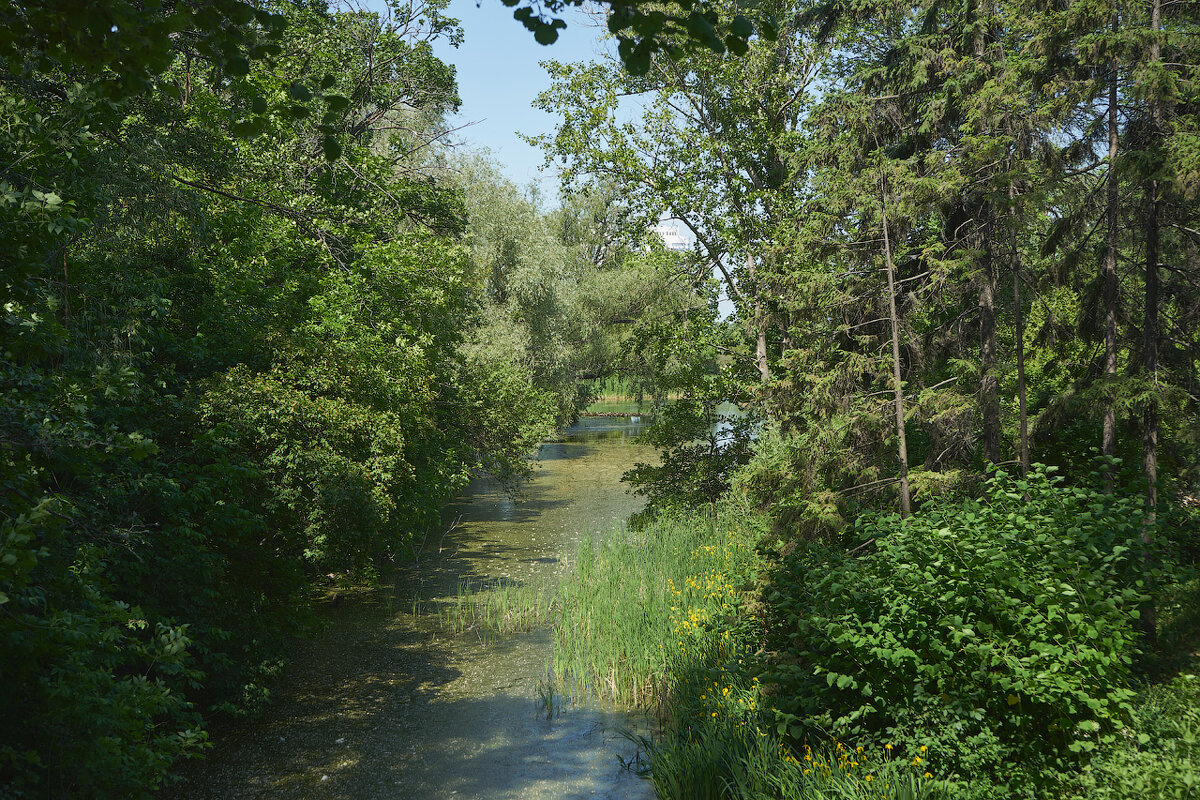 Ботанический сад 08 - Олег Манаенков Ботанический сад 08 - Олег Манаенков