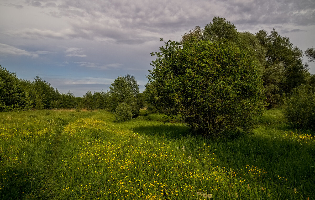 Последний день весны - Андрей Дворников