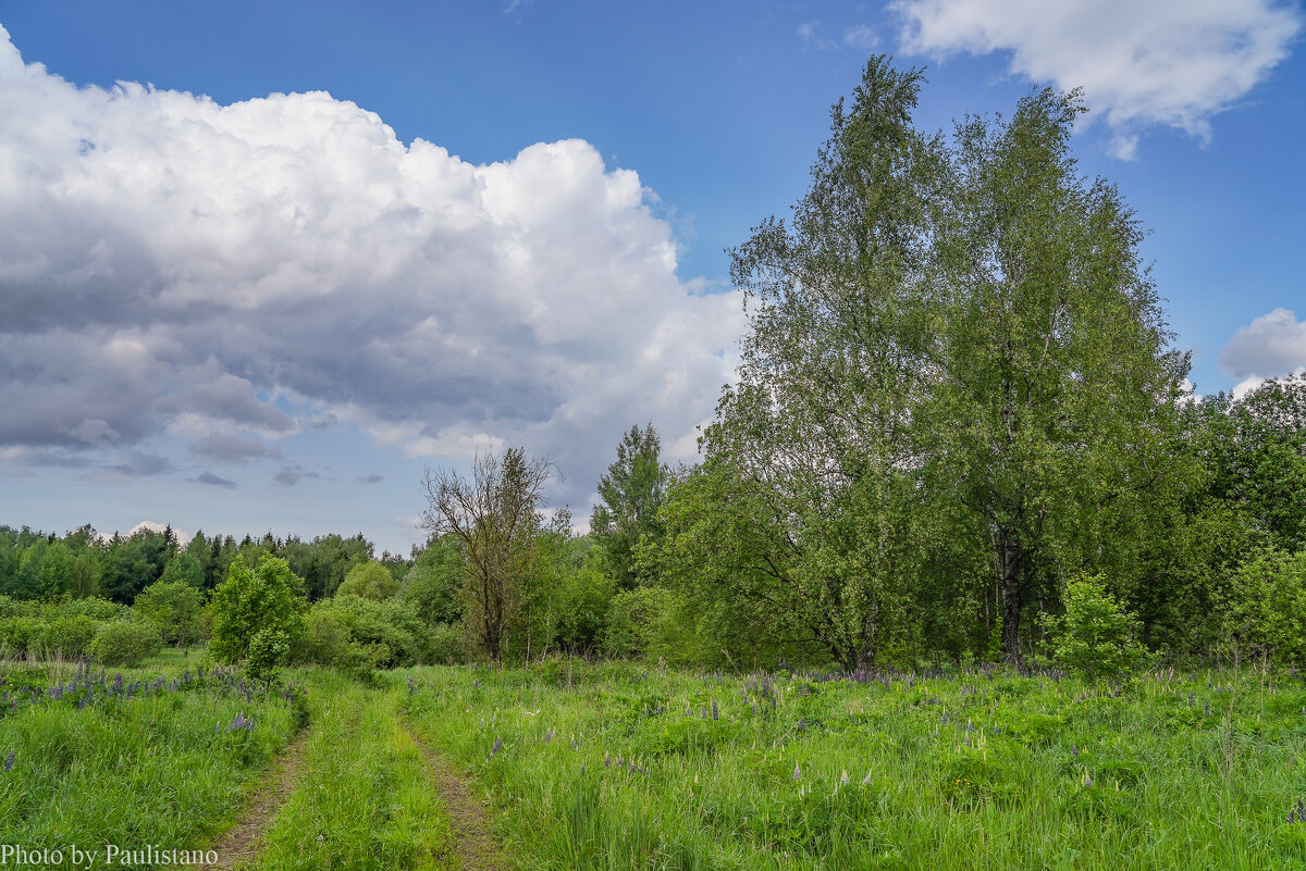 В поле... - Владимир Жданов В поле... - Владимир Жданов