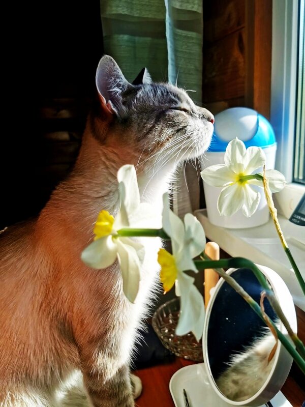 Раннее утро на даче - Ирина Раннее утро на даче - Ирина