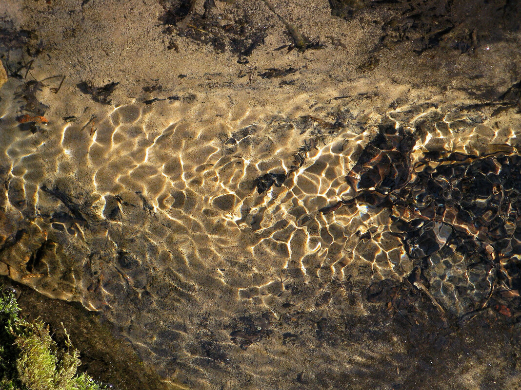 Блики на воде - Наталья 