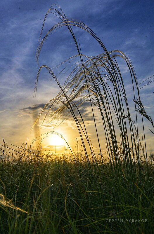 Позолоченное серебро - Сергей Позолоченное серебро - Сергей