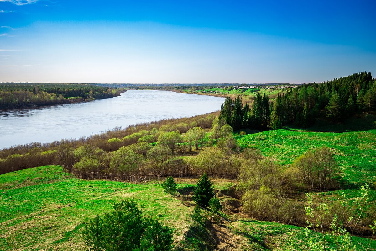 Родная река - Дмитрий Стёпин