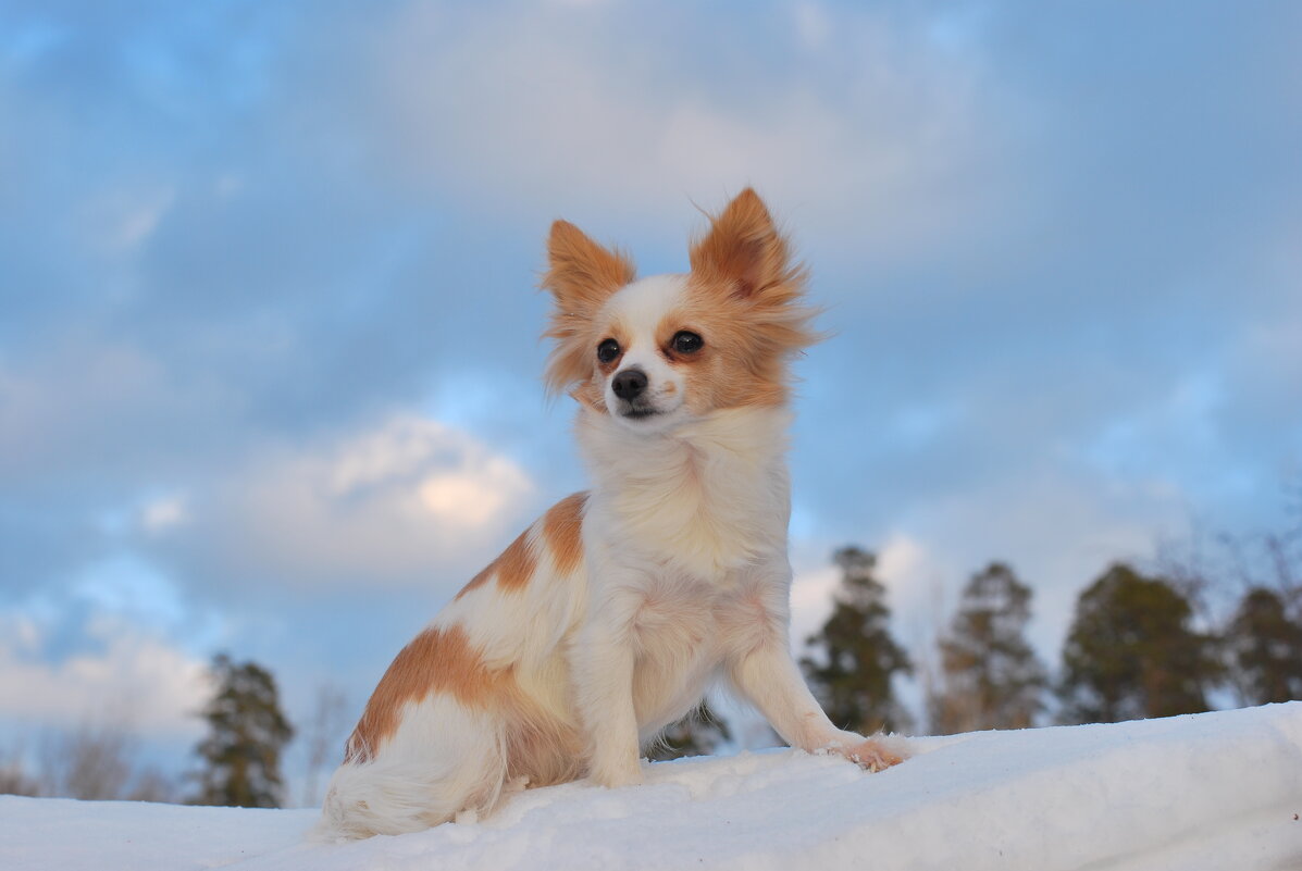 Буська - Рудаков Сергей 