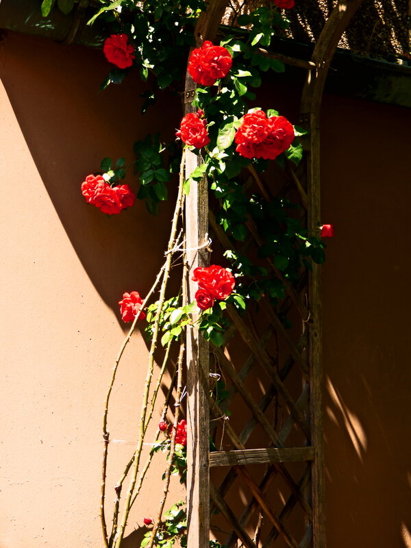 Летние этюды 3 - Алексей Кузнецов