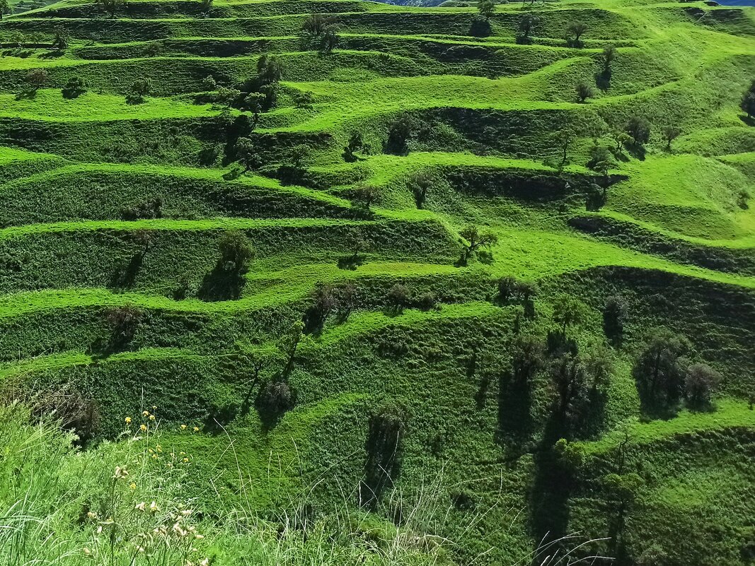 В горах Дагестана - svk *
