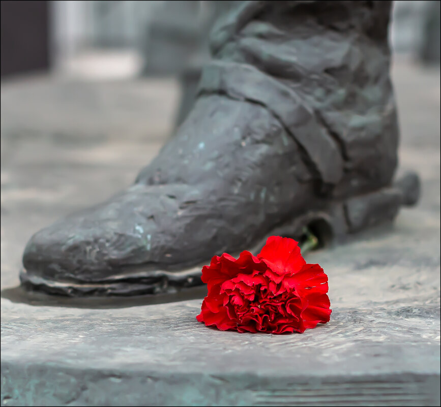 Цветок - Александр Тарноградский Цветок - Александр Тарноградский