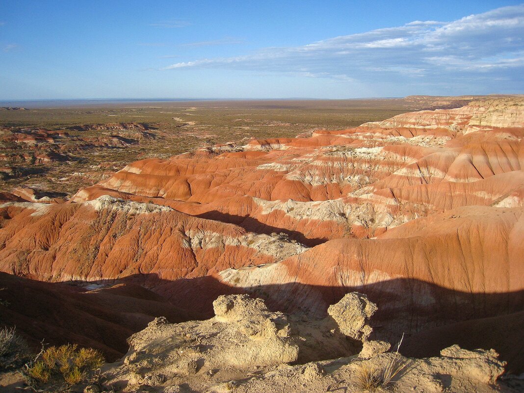 Заповедная территория Меловой долины. - unix (Илья Утропов)