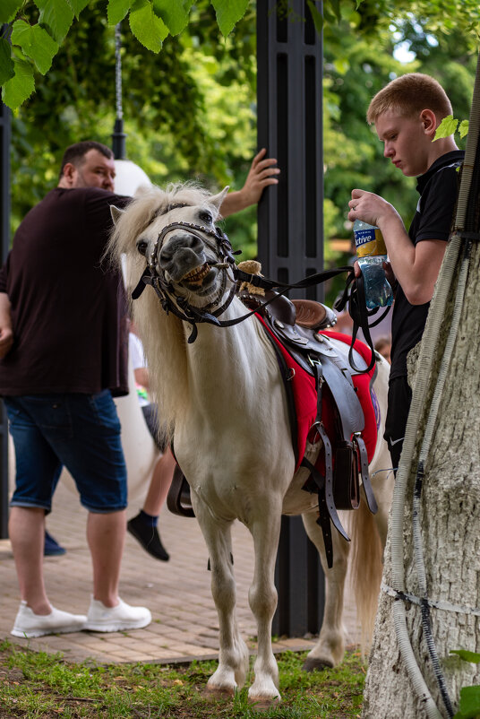 возмущение - Вадим Федотов 