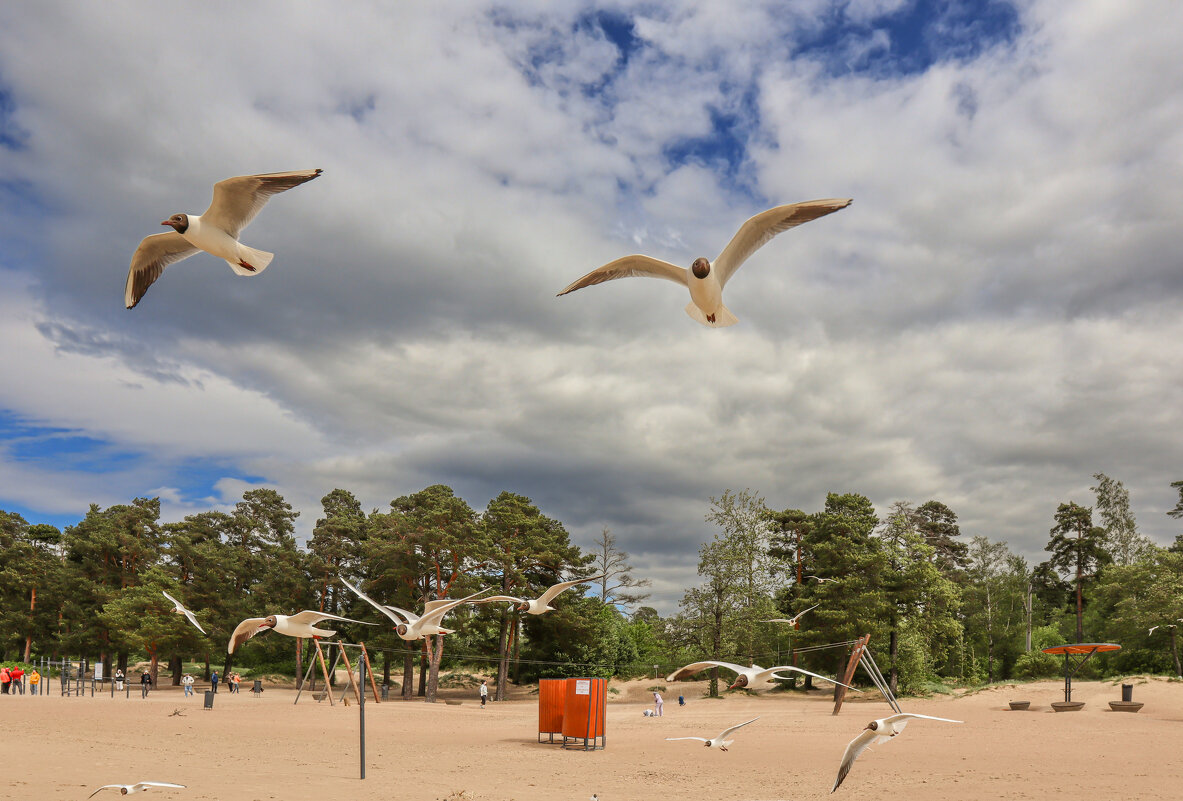 Первый день лета - skijumper Иванов Первый день лета - skijumper Иванов