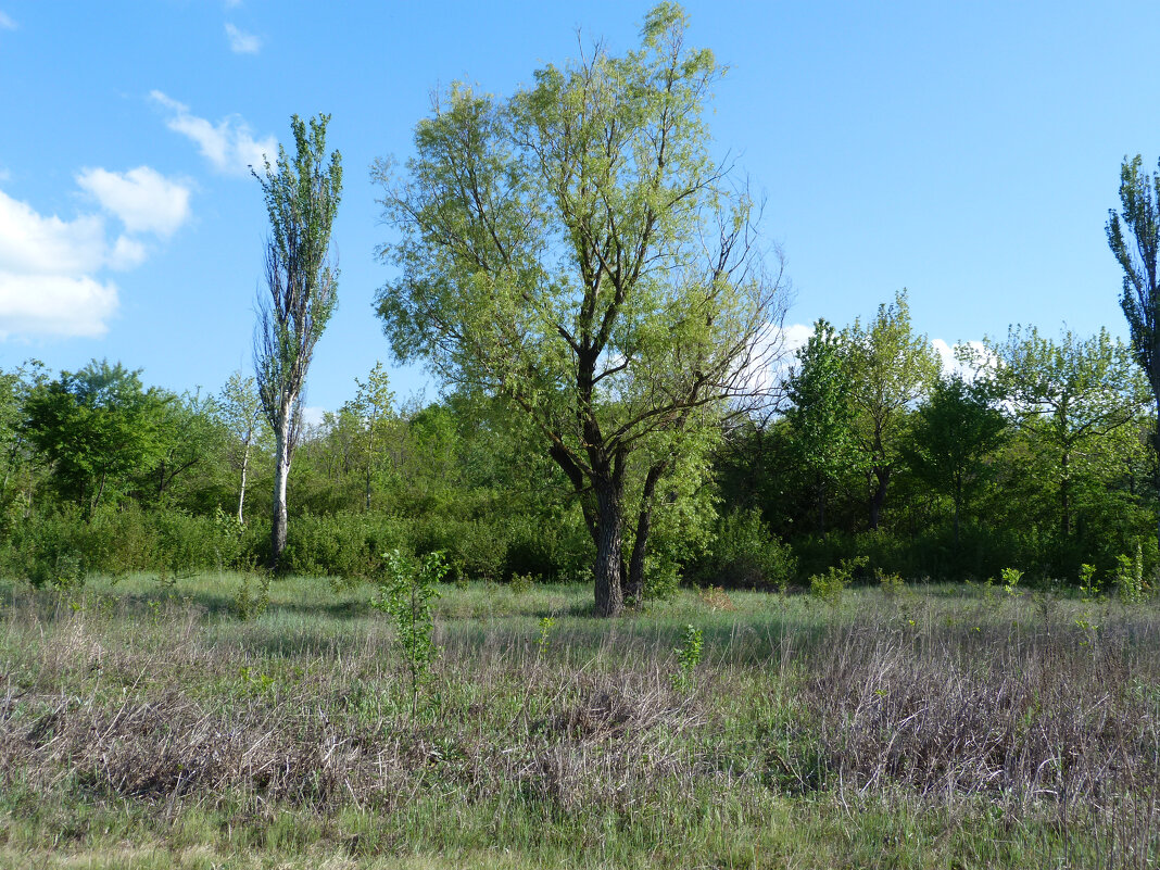 Природа  Крыма - Валентин Семчишин