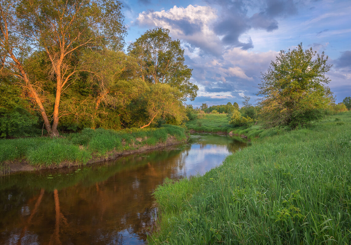 **** - Елизавета .