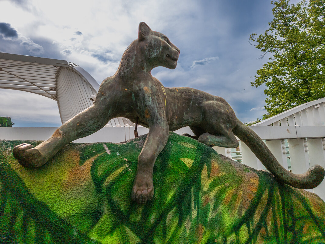 Московский зоопарк. - Борис Калитенко