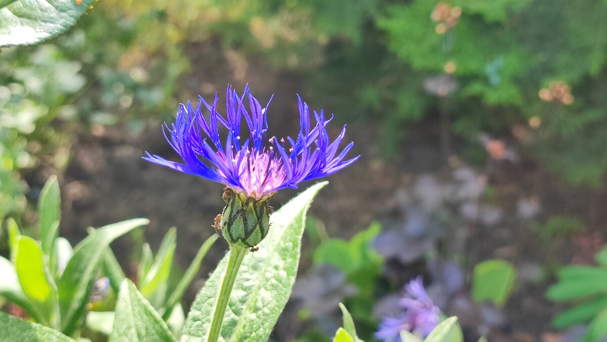 ,,, - Сергей Тимоновский