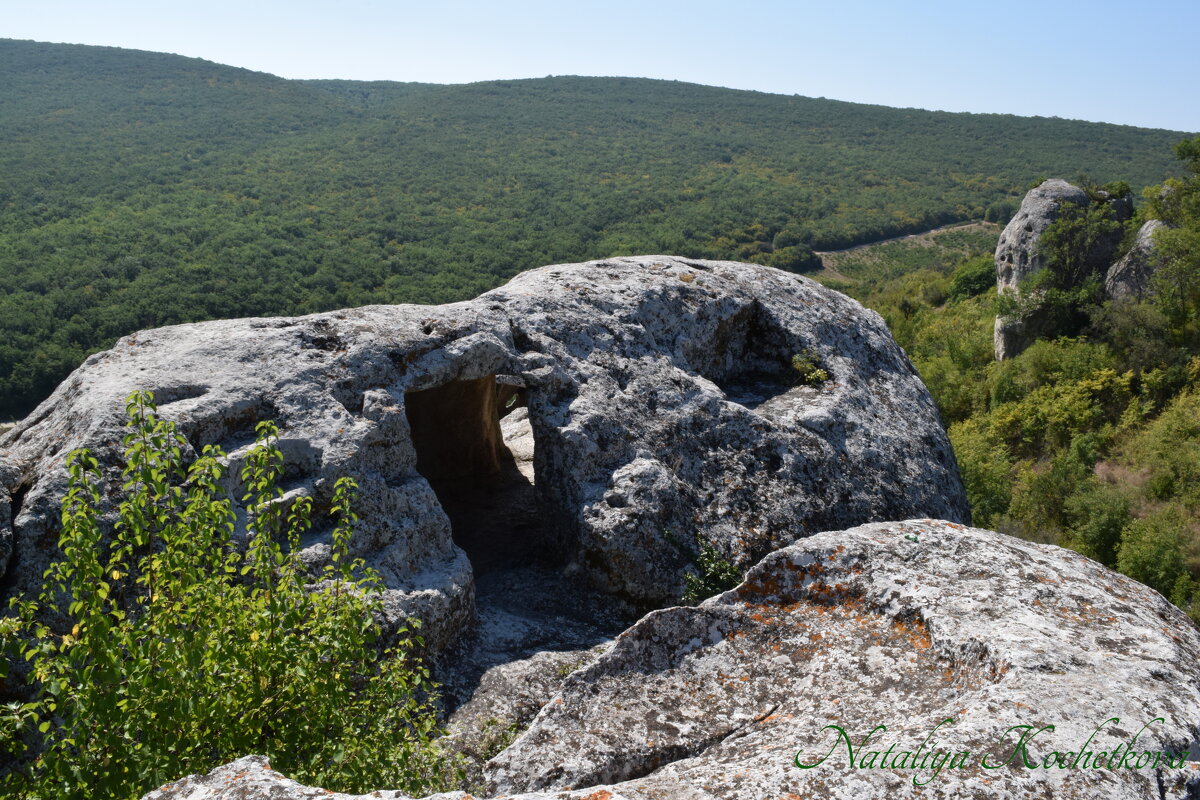 Природа Крыма - Amazing Cosmea Природа Крыма - Amazing Cosmea