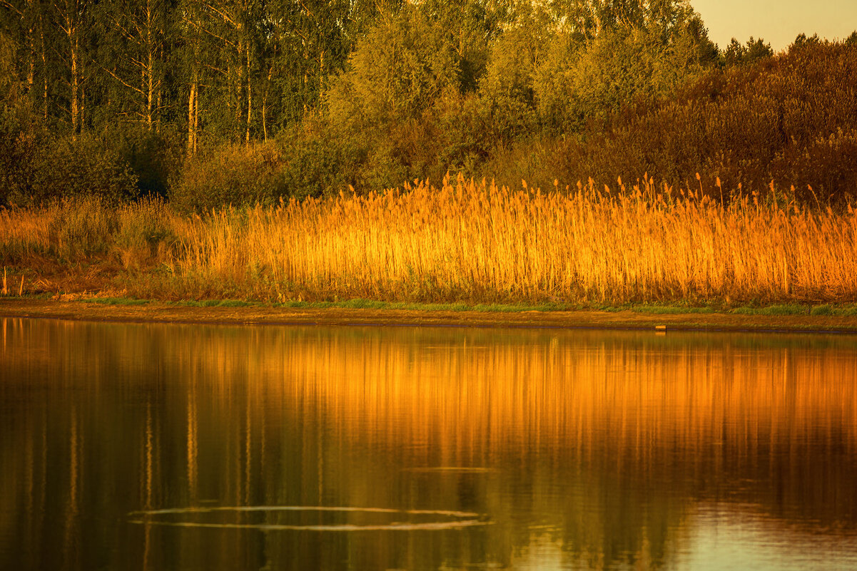 Предночь... - Влад Никишин