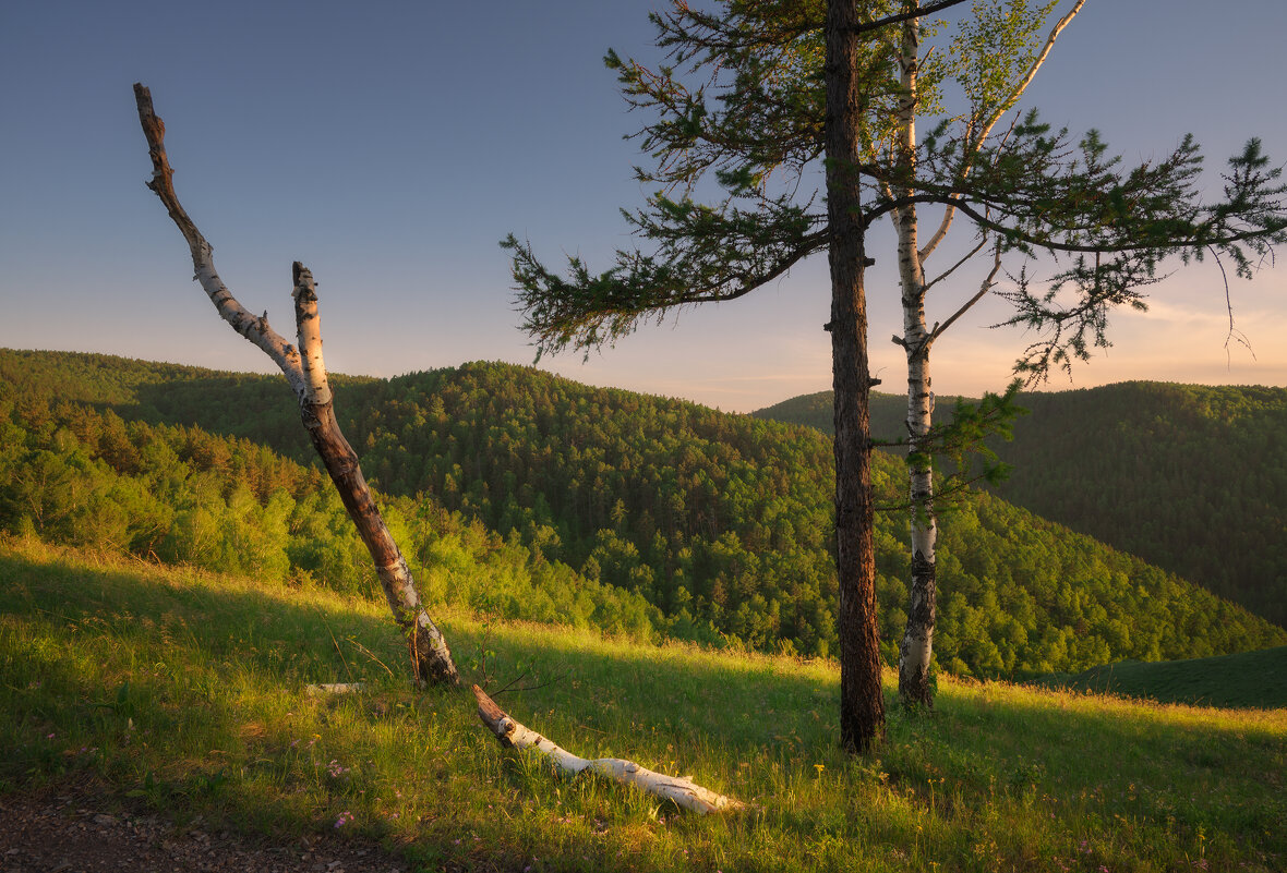 * - Александр Иванов