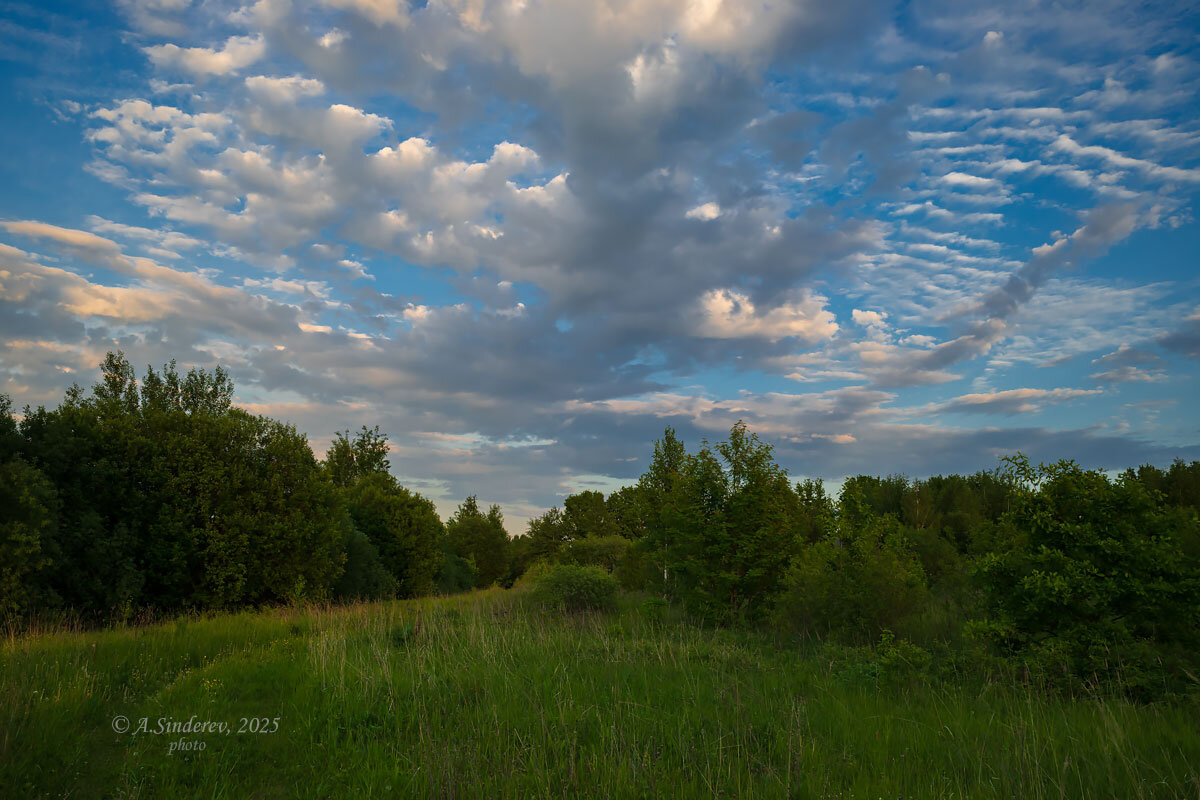 Майский вечер - Александр Синдерёв