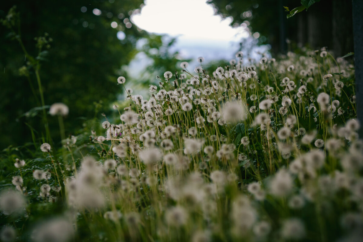 *** - Вячеслав Владимирович *** - Вячеслав Владимирович