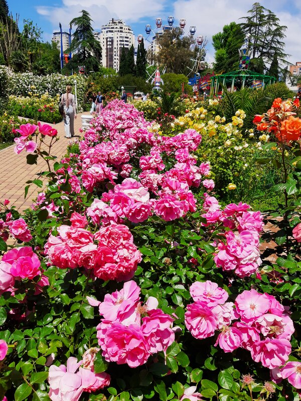 РИВЬЕРА - Tata Wolf РИВЬЕРА - Tata Wolf